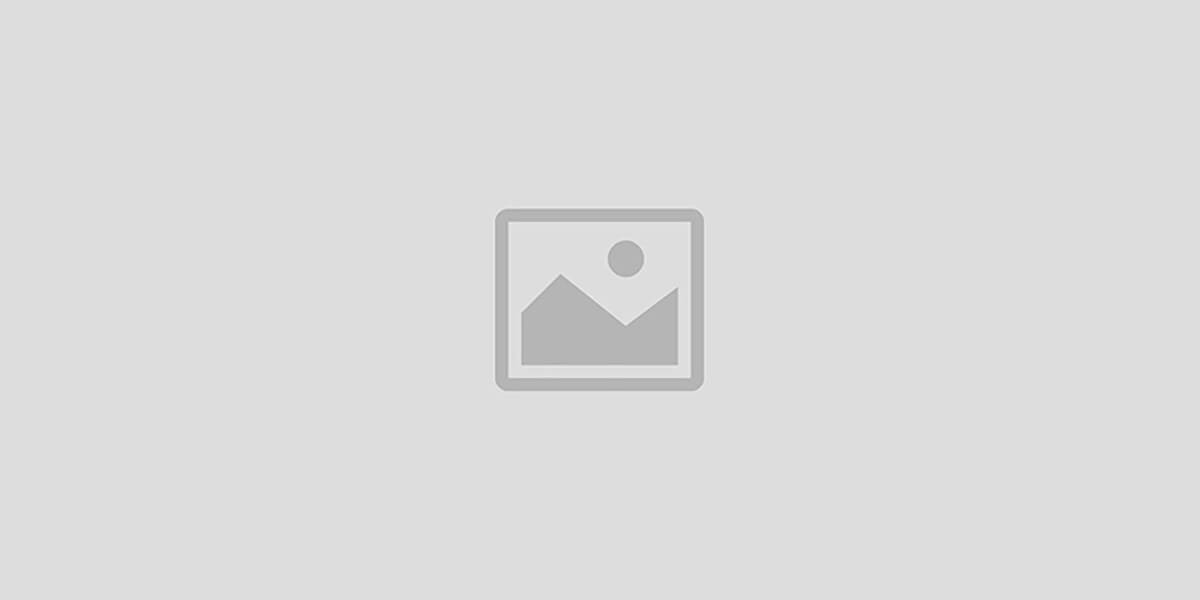 belegant2earn